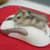 Предусмотрительная забота о себе - последнее сообщение от mouse