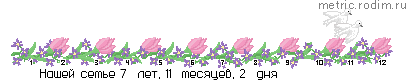 w4_w8_27_11_1999_1_1w.gif