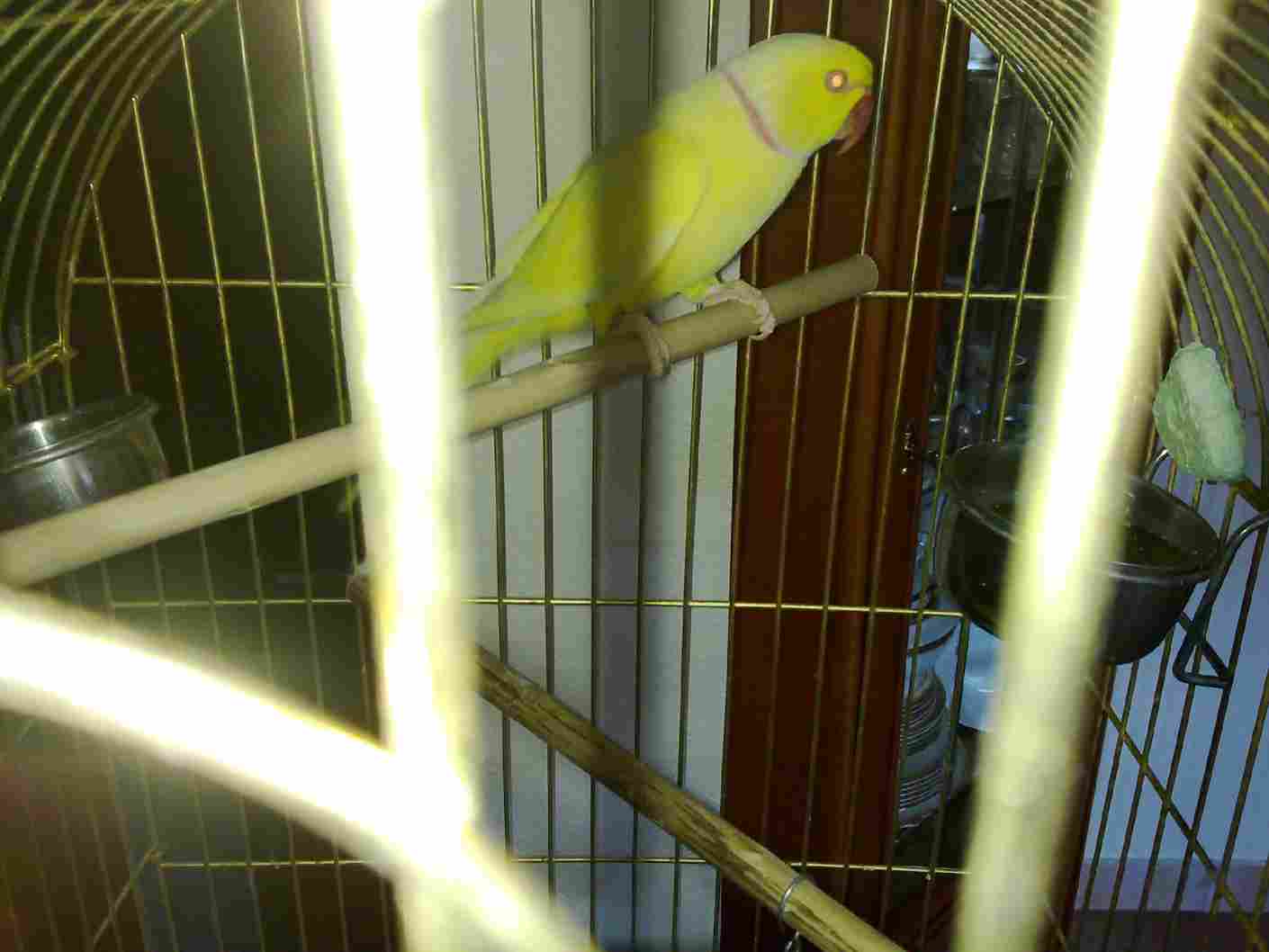23052010127.jpg