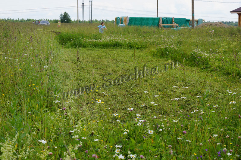 DSC00854.JPG