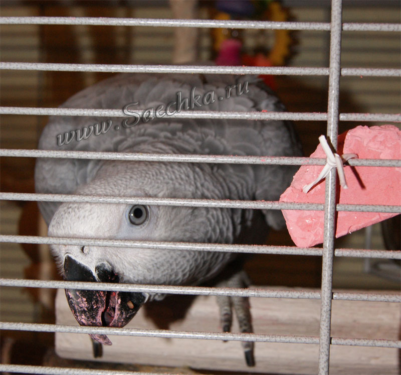 01.jpg